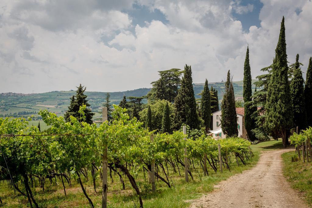 Massimago Wine Relais Villa Mezzane di Sotto Екстериор снимка