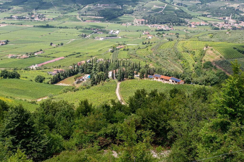 Massimago Wine Relais Villa Mezzane di Sotto Екстериор снимка