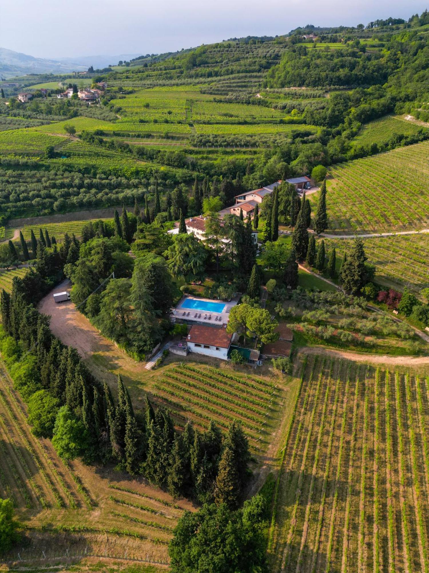 Massimago Wine Relais Villa Mezzane di Sotto Екстериор снимка