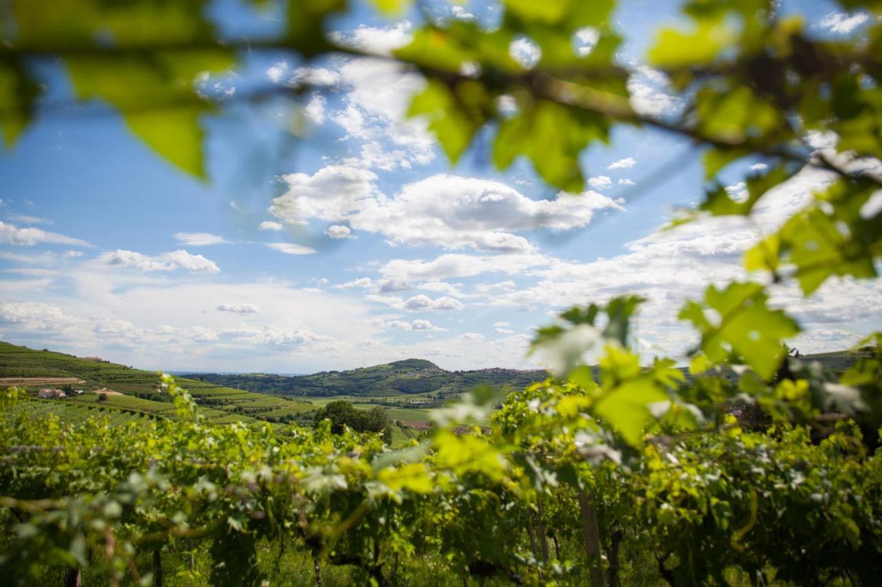 Massimago Wine Relais Villa Mezzane di Sotto Екстериор снимка